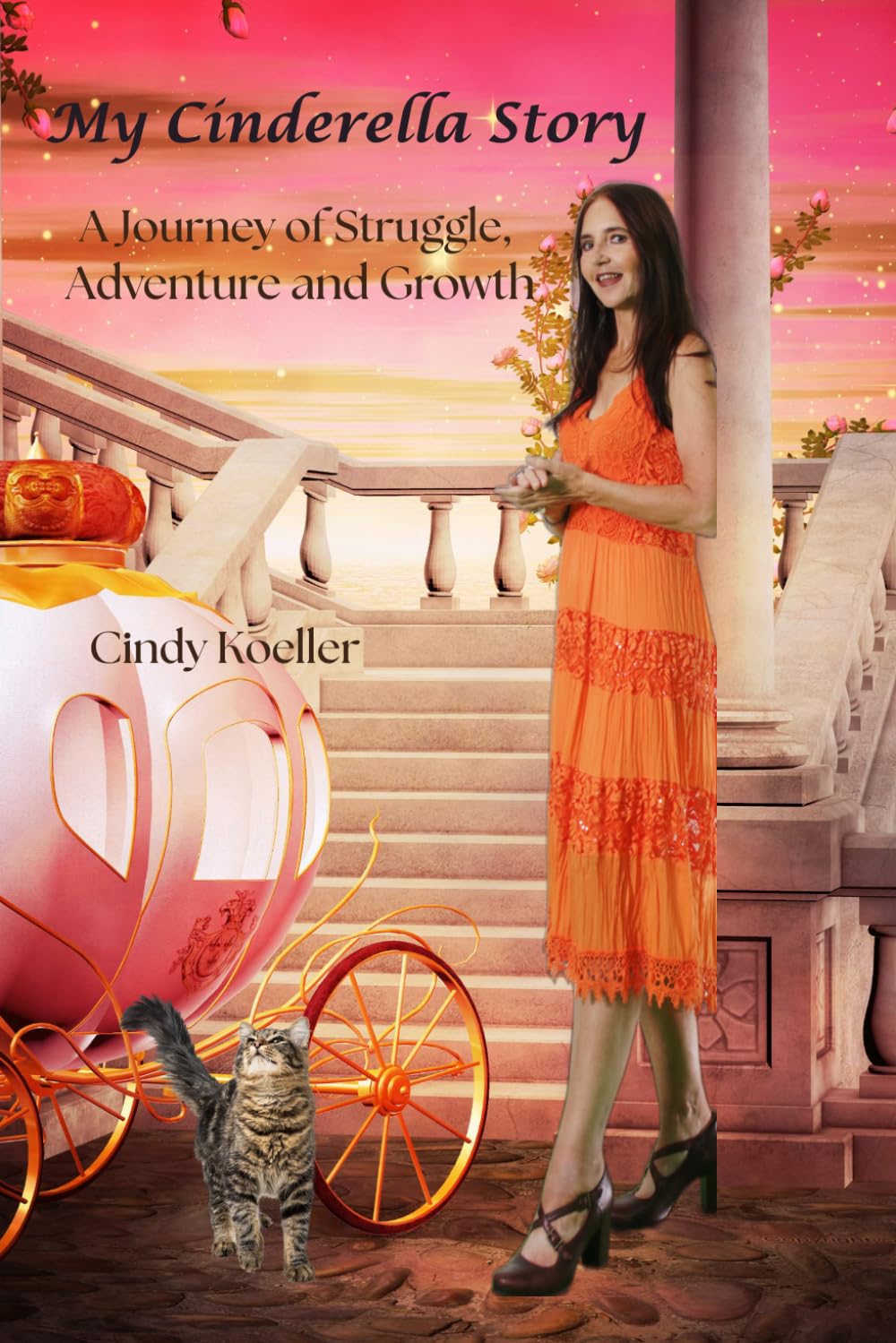 My Cinderella Story: A Journey of Struggle, Adventure and Growth