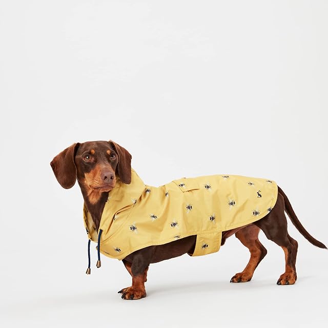 Rosewood Joules Go Lightly Packaway Jacket For Dogs, Small