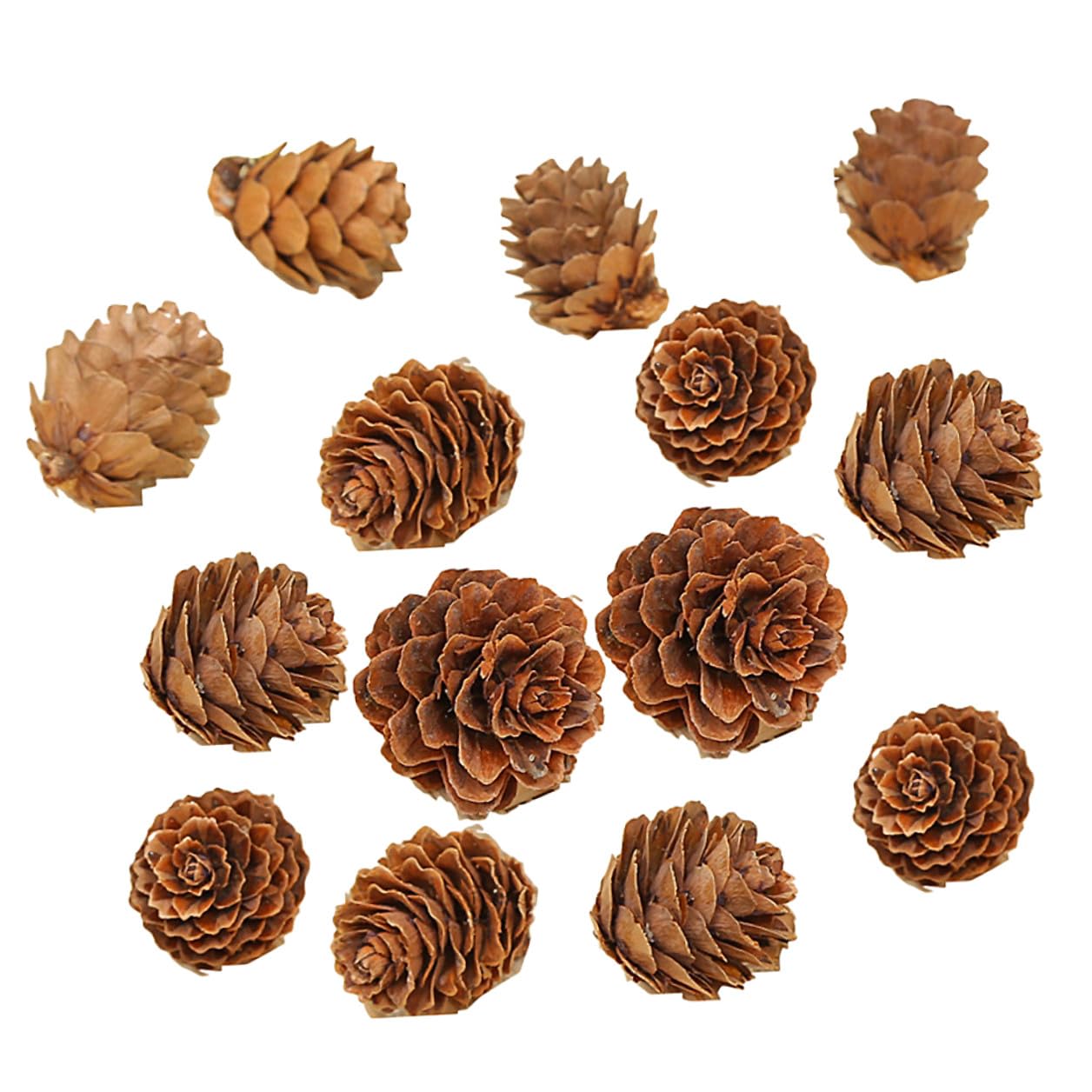 210 Unidades Mini Piñas de Pino Naturales Decoración Rústica para Hogar Navidad Acción de Gracias Manualidades Ornamento Vegetal
