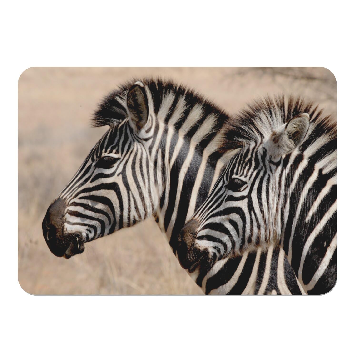 Napperons souples dessous liège zèbre savane 39,5x28,5cm x4