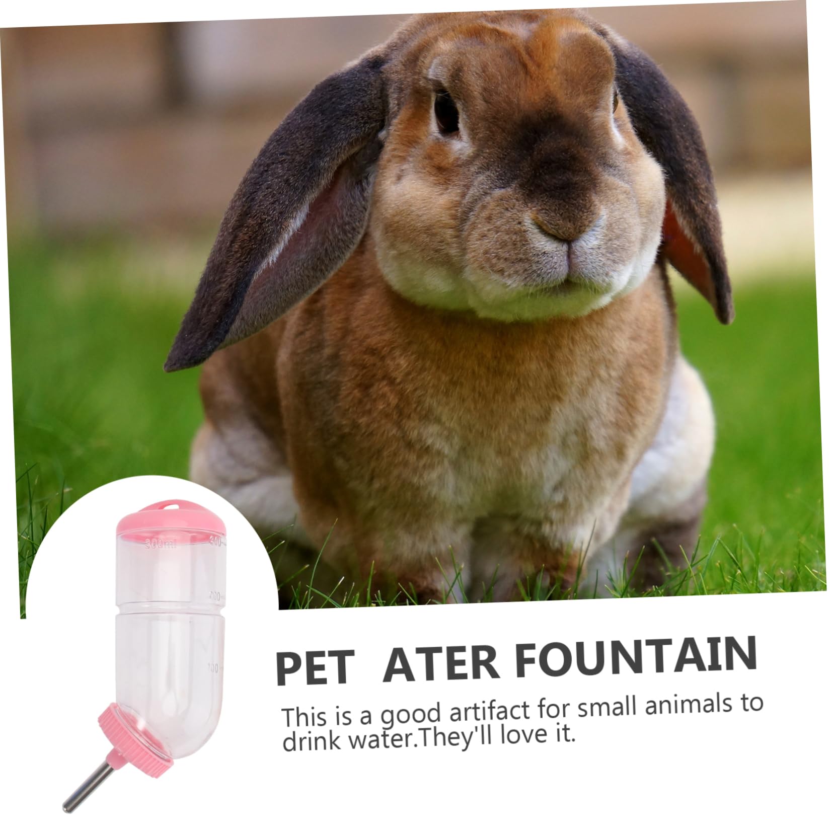 Housoutil 6pezzi Dispenser Per Piccoli Animali Di Bottiglie Impermeabili Per Conigli e Criceti Materiale e Resistente Agli Animali Facile Monitoraggio Del