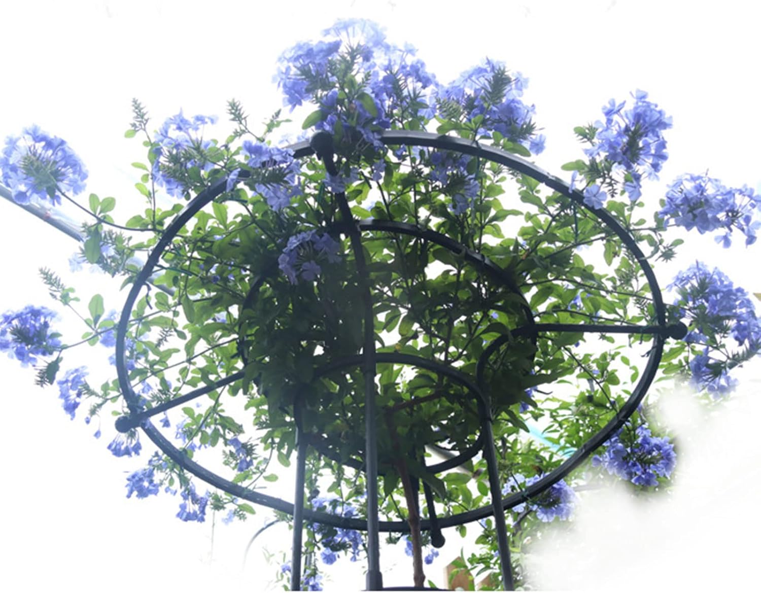 Garden Obelisk Trellis for Climbing Plants, Outdoor Plant Flower Round Trellis Decorative Vertical Plastic Coated Metal Umbrella Trellis Tower Frame, Garden Flower Support Cage for Vine(47in)