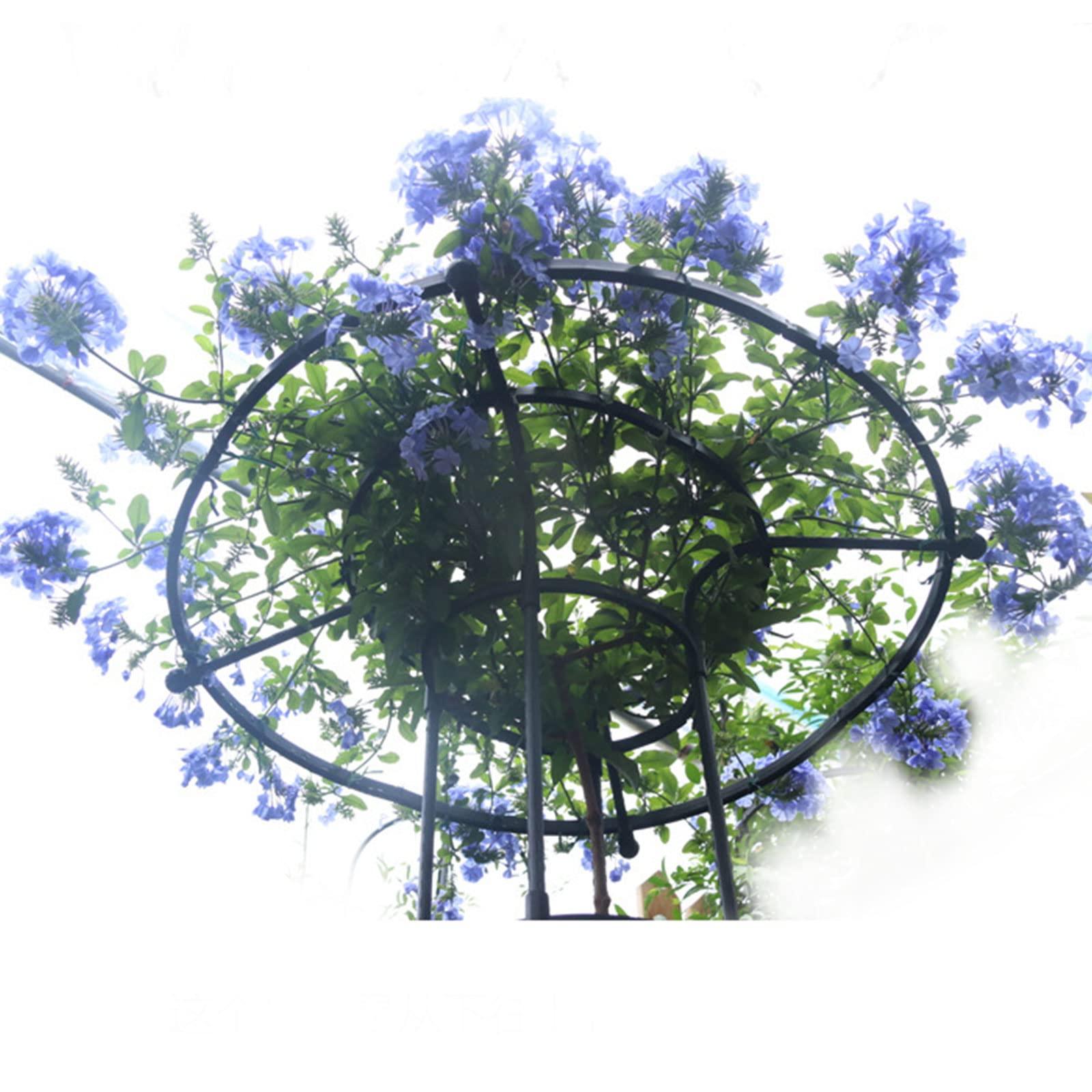 Traliccio da Giardino per Piante Rampicanti, Traliccio da Giardino per Piante Rampicanti da Esterno, Traliccio per Piante in Vaso, Piante da Appartamento, Viti Rampicanti (210 cm)