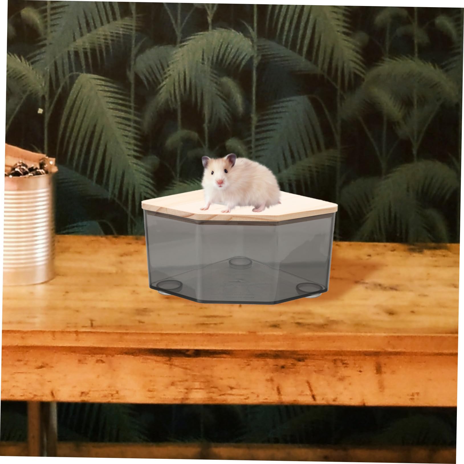 INOOMP 5piezas Caja De Baño De Arena para Hámster y Chinchilla Inodoro Transparente Antisalpicaduras Accesorio Práctico para Mascotas Pequeñas para Baños y Excavaciones