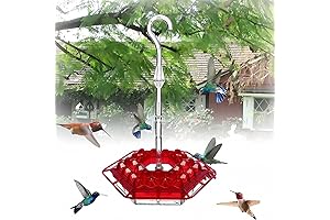 Sherem Hummingbird Feeder: Feed Your Feathered Friends!