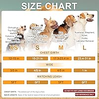 Vista 15 de BEAUTYZOO No Pull Dog Harness and Leash Set - Adjustable Step-in Puppy Harness for Small Medium Large Dogs, Escape Proof Soft Nylon Vest with Double