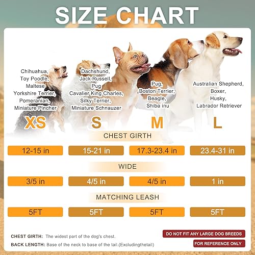 Miniatura 7 de BEAUTYZOO Juego de arnés y correa para perro pequeño sin tirones, arnés de nailon ligero para cuello y pecho ajustable para perros, niñas y niños,