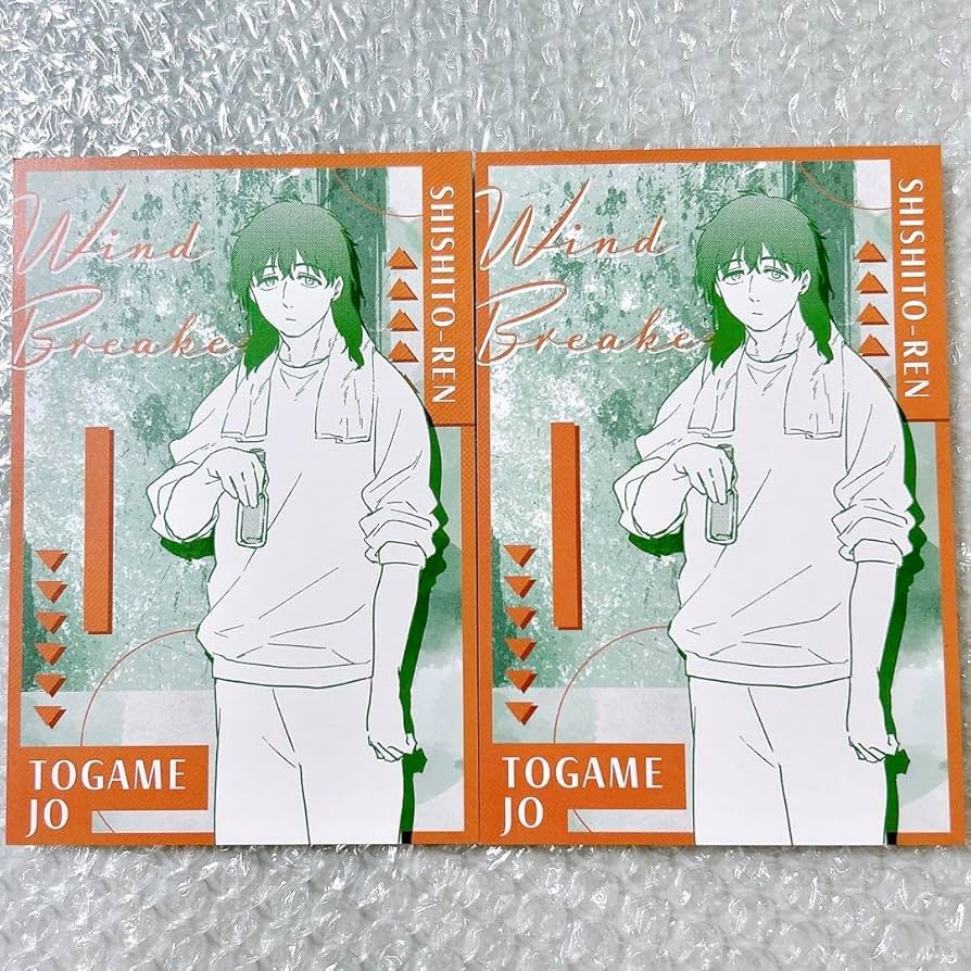 ウィンブレ　ウィンドブレーカー　十亀条　タペストリー Amazon.co.jp: 十亀条 WIND BREAKER B2半裁タペストリー ちゃれ