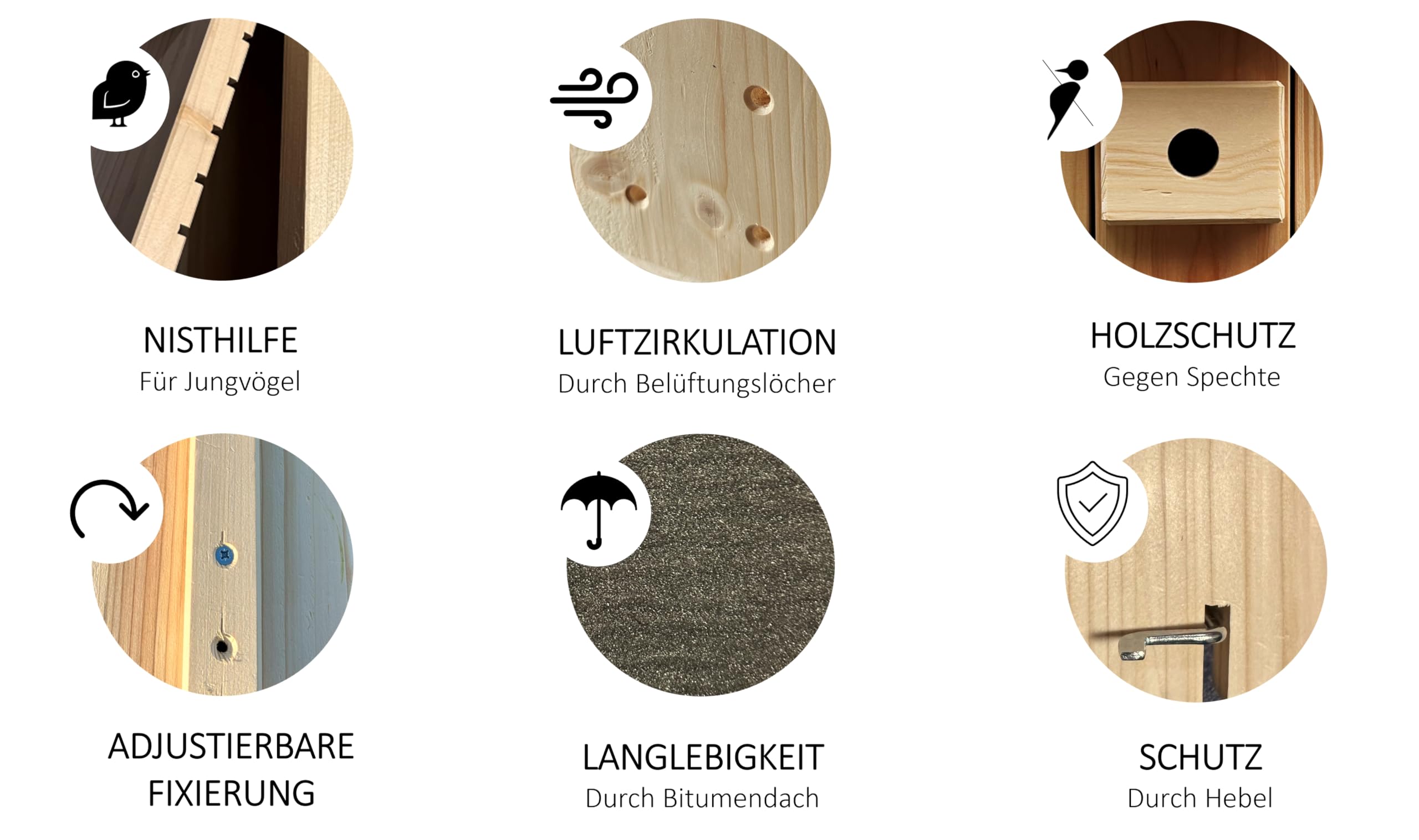 Hochwertiger Nistkasten inklusive Kamera | Live Stream | PEFC® zertifiziertem Massivholz | Brutkasten | Kamera Vogelhaus mit 3m Stromkabel | Geschenkidee Garten