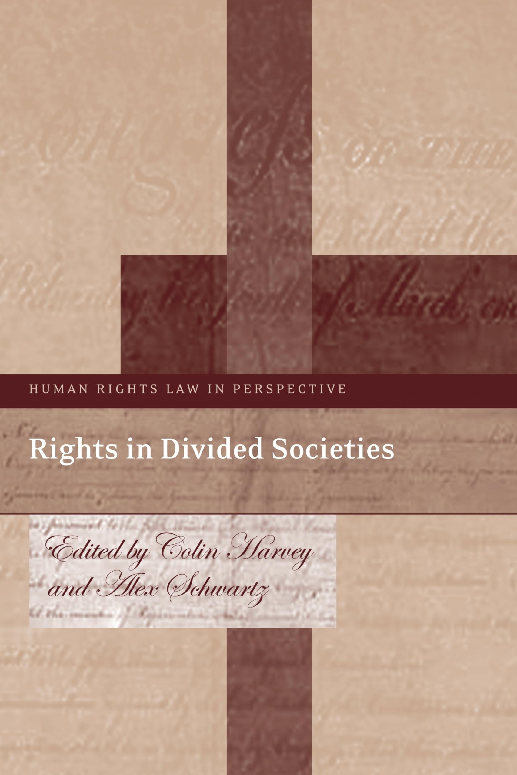 Buy Rights in Divided Societies: 17 (Human Rights Law in Perspective) — BookShops.in
