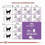 Ver la foto 6