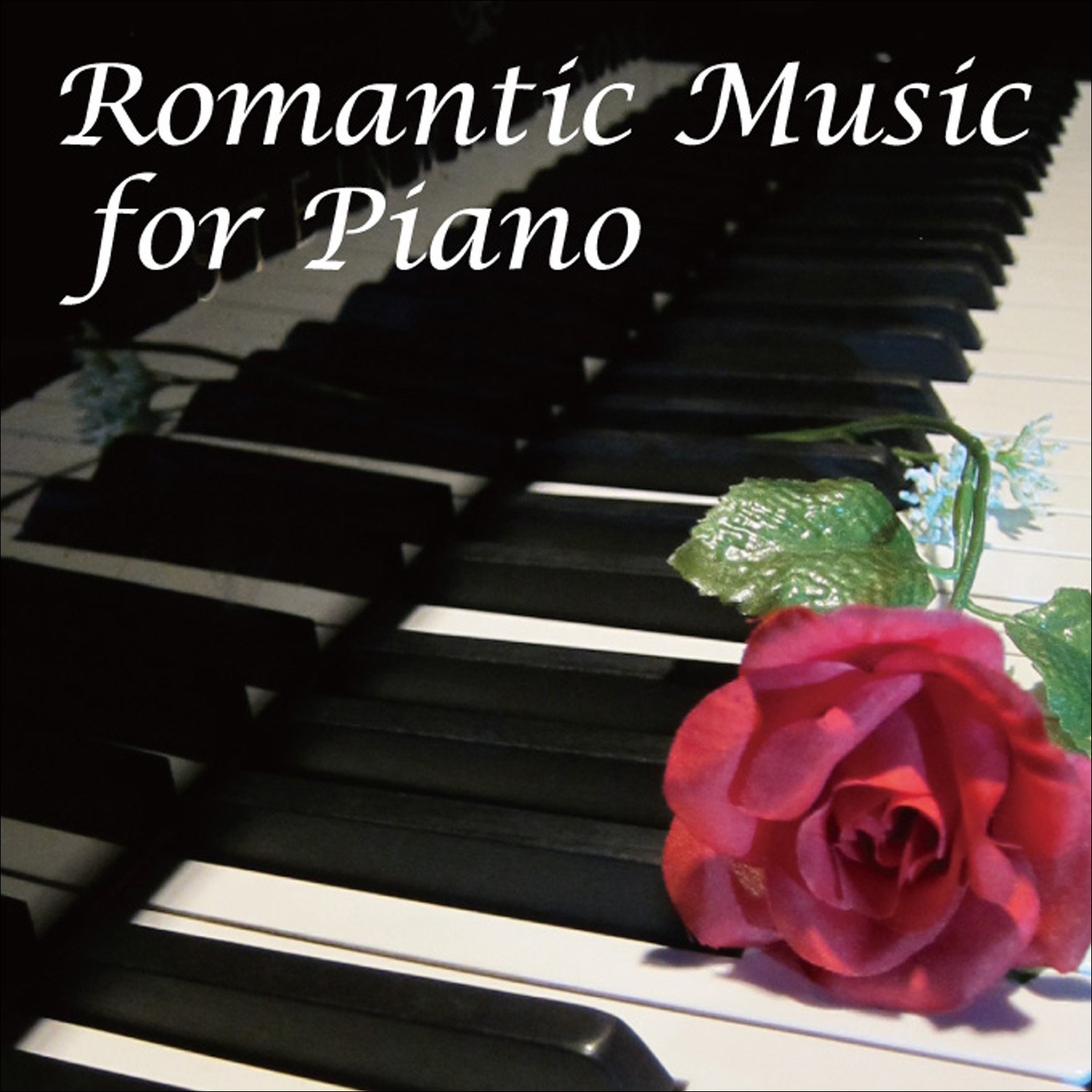 Yuko Nakamichi,Piano