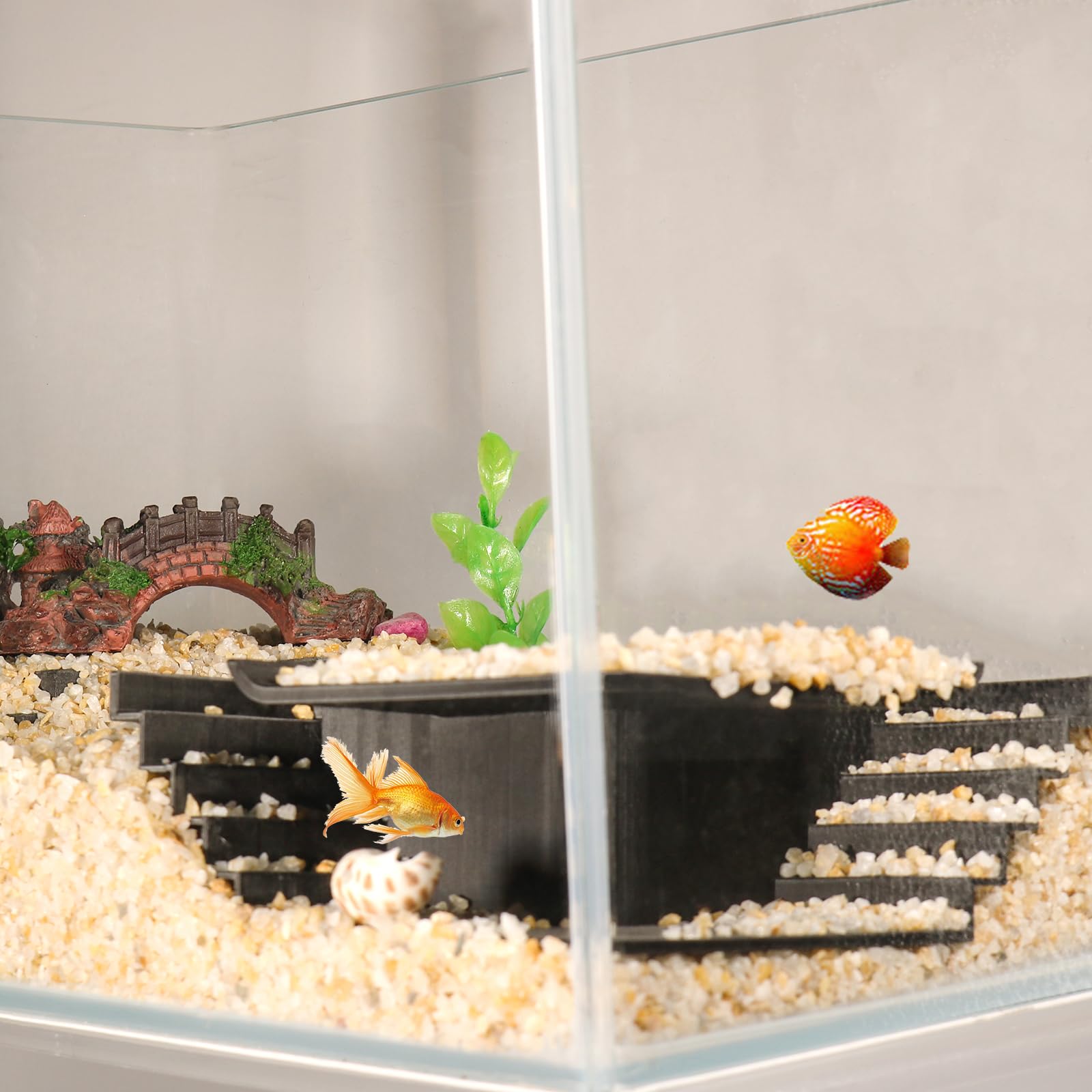 Grotte Transparente Pour Aquarium – Décoration Pour Poissons Et Crevettes, Dimensions 17,6x8,8x6,8 Cm, Cachette Et Observation - 5