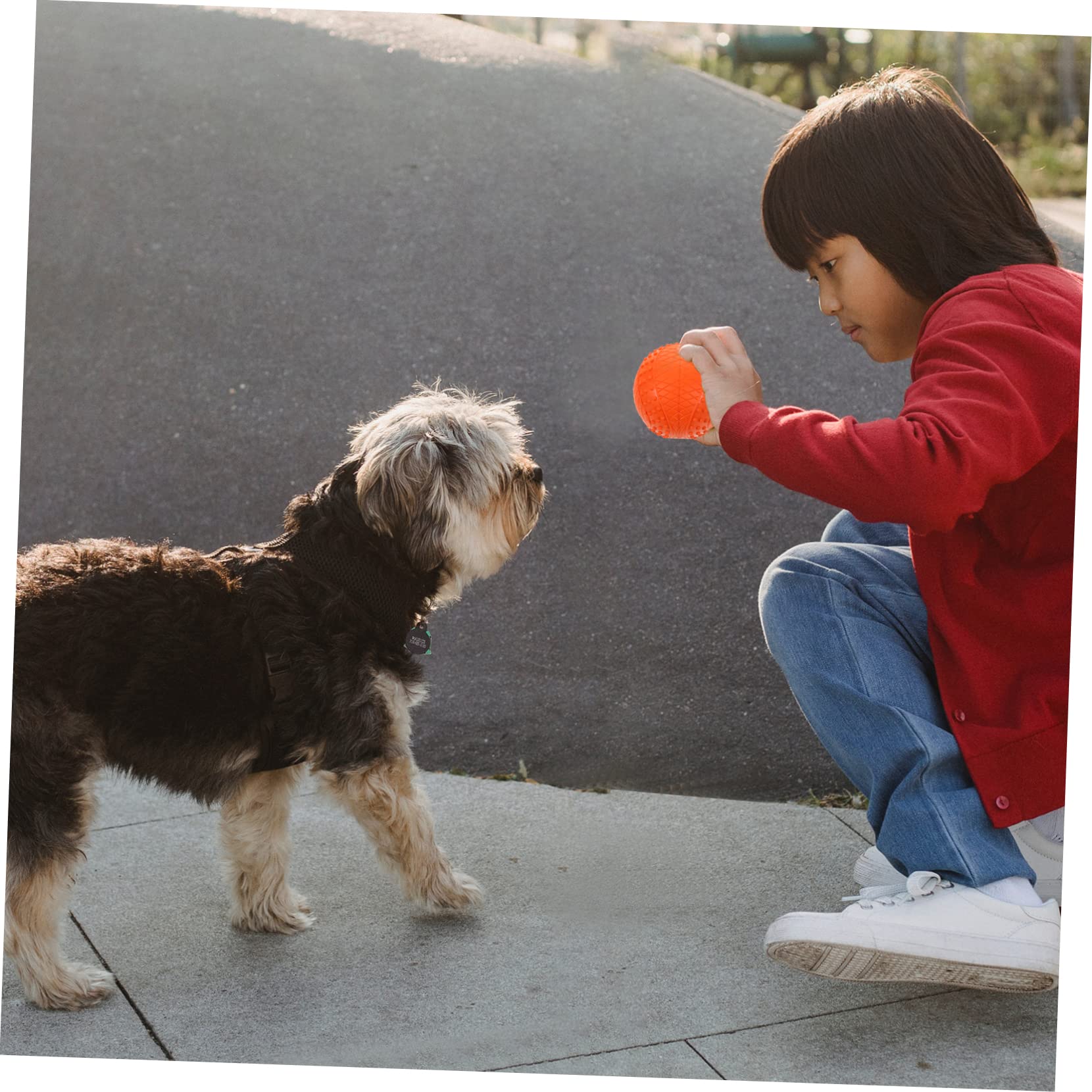 HEMOTON 4pezzi Palline per Cani di Gomma Resistente ai Morsi Giocattoli da Masticare Effetto Squittire Palline Galleggianti Piccole e Facili da Pulire per Cani