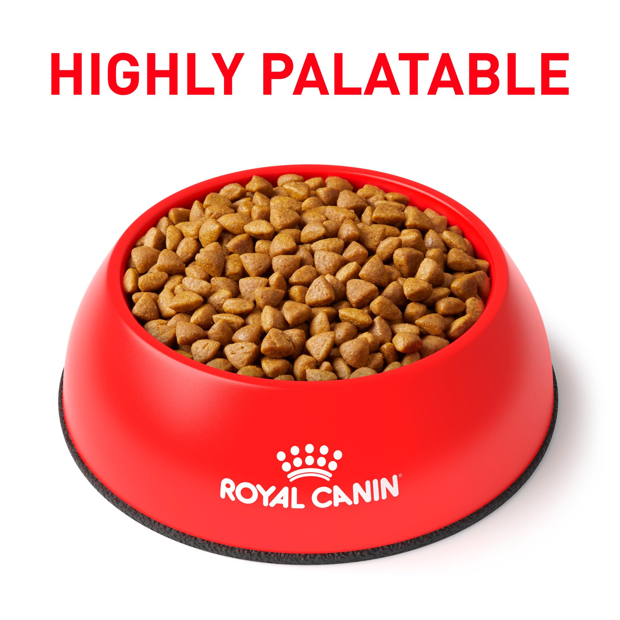 Royal Canin Expert Calm | 4 kg | Alimento completo per gatti adulti | Possibile effetto rilassante | Proteina del latte idrolizzata e L-triptofano