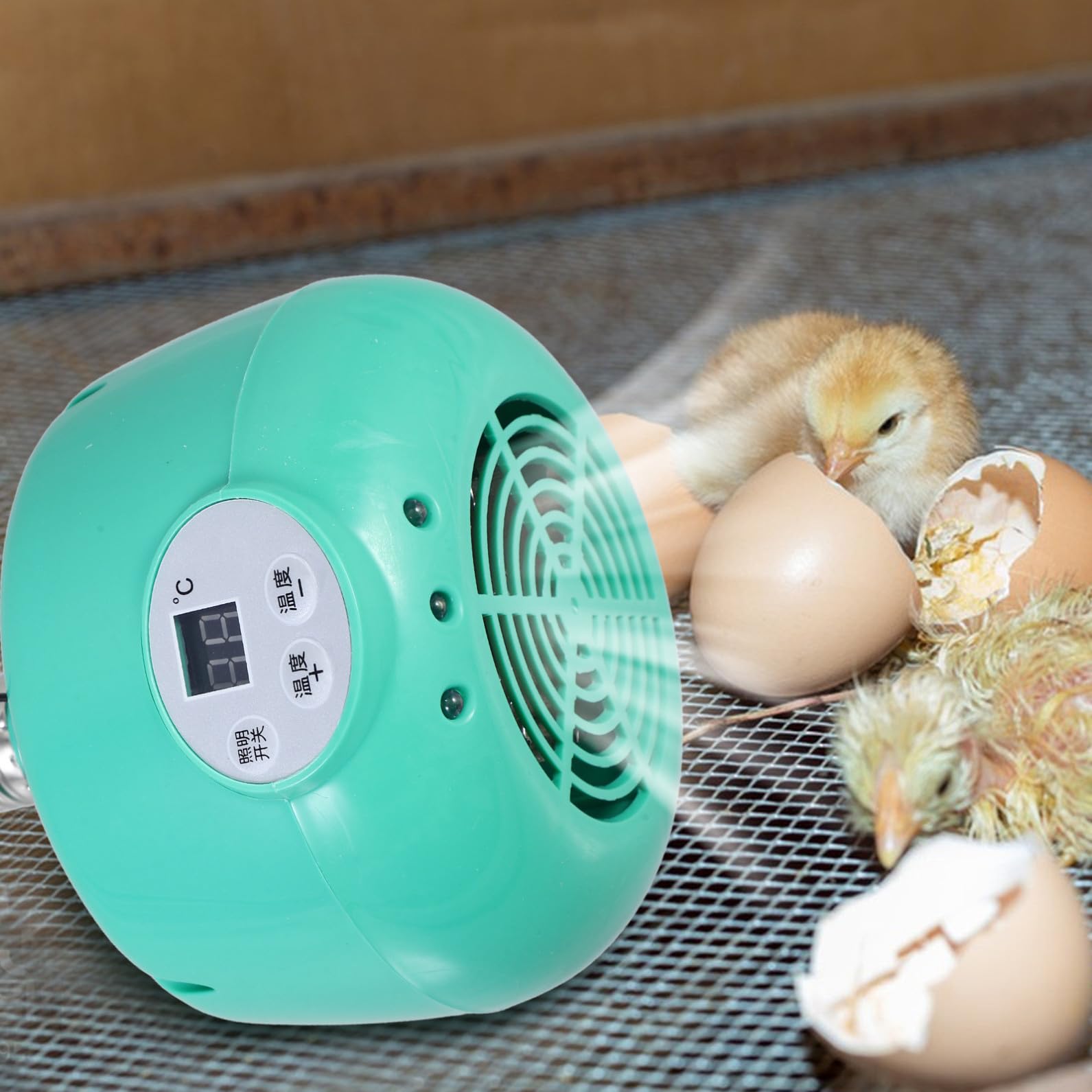 Plastikowa Lampa Grzewcza z Regulacją Temperatury Ciepła Do Hodowli Gadów i Kurcząt Bezpieczna i Trwała Lampa Grzewcza Zimę Zielona