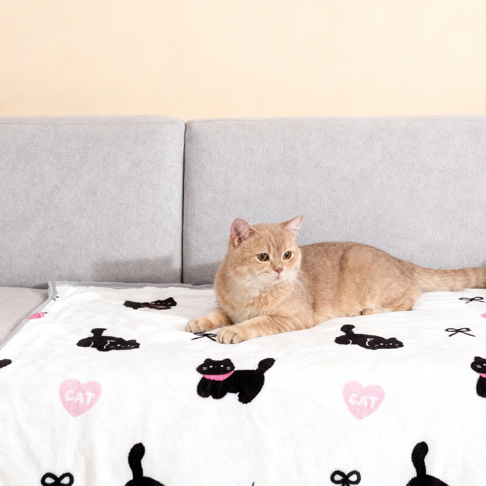 WOONEKY Couverture pour Animaux de Compagnie 150 X 200 Cm en Polaire Douce et Chaude, Lavable en Machine, Adaptée aux Chiens et Chats de Toutes Tailles, Couverture Apaisante pour Canapé