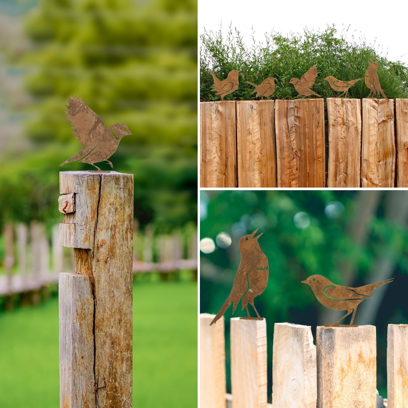 8 Décorations Jardin Fer Rouillé - Fleurs, Oiseaux, Cœurs - Piquets Pelouse