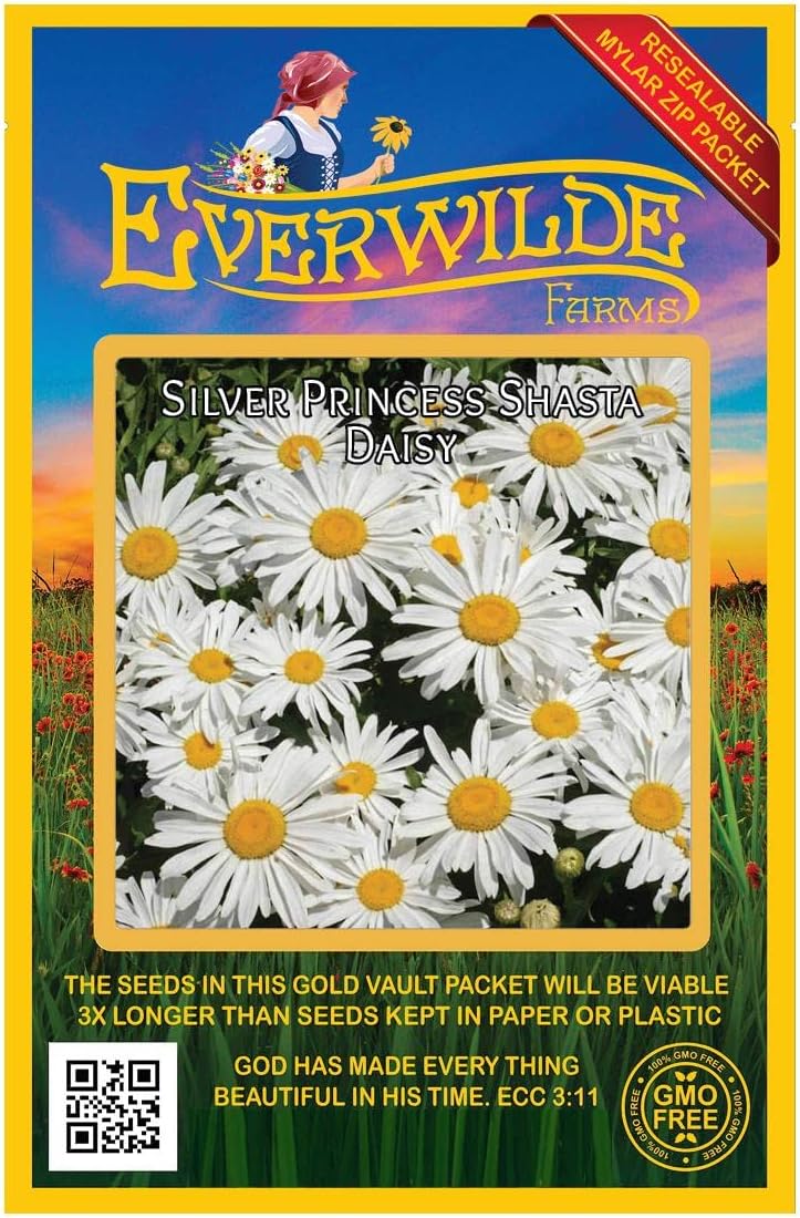 Everwilde Farms - 1/4 Lb Silver Princess Shasta Daisy Wildflower Seeds - Gold Vault