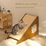 Ver la foto 5