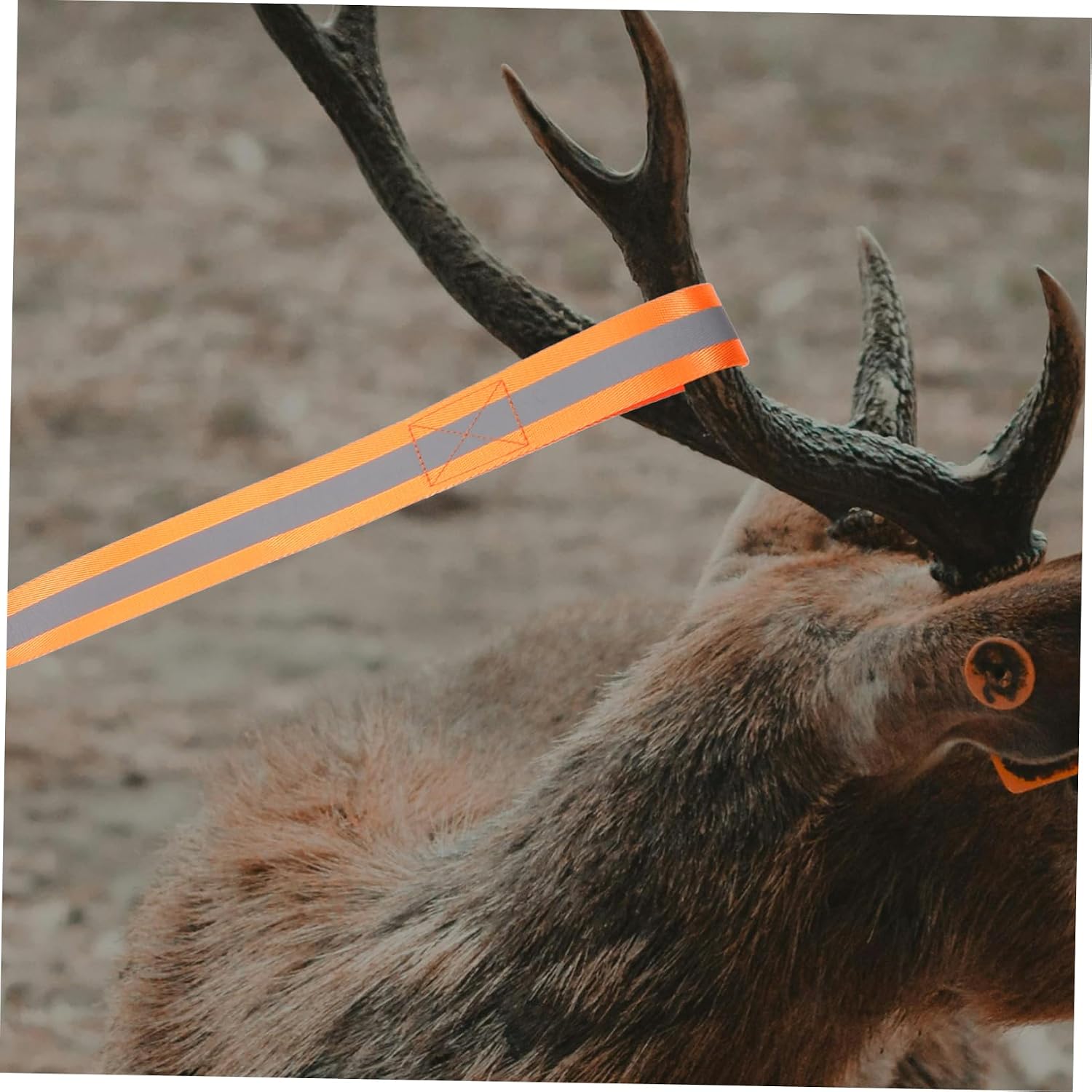 Milisten Heavy Duty Deer Dragging Strap with Reflective Strips Sturdy Hunting Harness for Safe Deer Hauling Adjustable Length Suitable for Outdoor Hunting Gear
