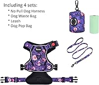 Vista 33 de Petmolico - Juego de arnés para perro sin tirones, 2 correas de sujeción con asa de fácil control, chaleco reflectante para razas pequeñas, arnés