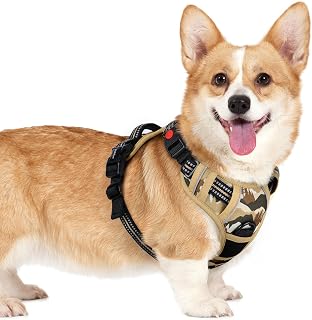 rabbitgoo Dog Harness Small Sized, No Pull Pet Harness with 3 Buckles, Adjustable Soft Padded Vest with Control Handle, Walking Reflective Pet Vest for Small Dogs, Desert Ridge, S