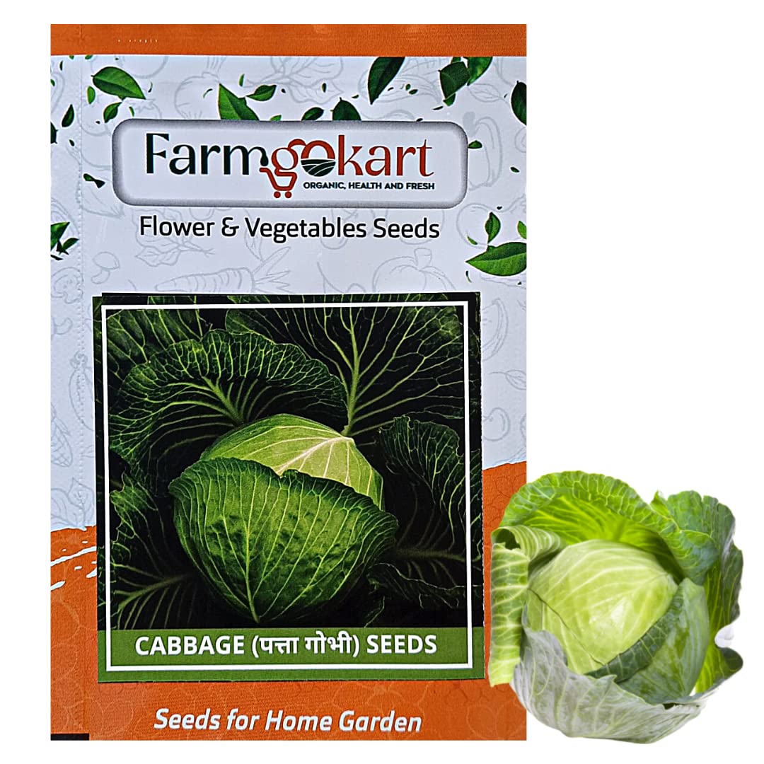 FARMGO 5 Gms - CABBAGE SEEDS, Vegetable Seeds for Home Gardening, Farming, Hydroponics and Poly Houses (B0BX6TYQGY) Amazon Price History, Amazon Price Tracker