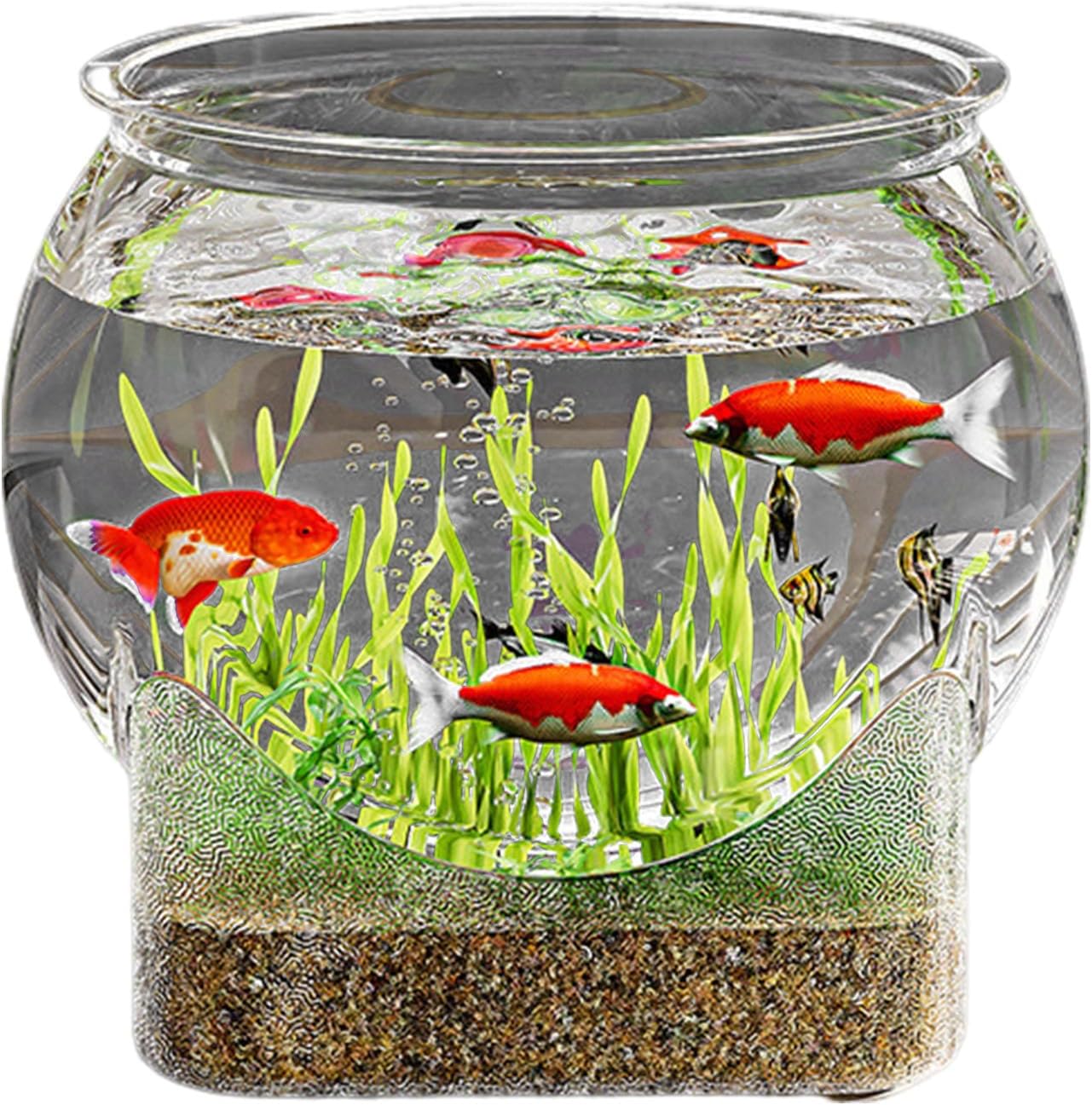 Round Fish Tank | Clear Aquarium Fish Bowls - Planter Decor for Home Living Room Bedroom Bathroom Desk Workplace Dorm
