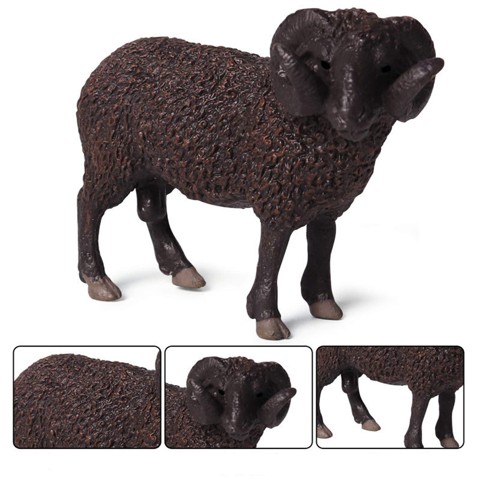 Amazon.co.jp: Eden Toys ヒツジ 羊 綿羊 ヤギ 山羊 動物 野生動物