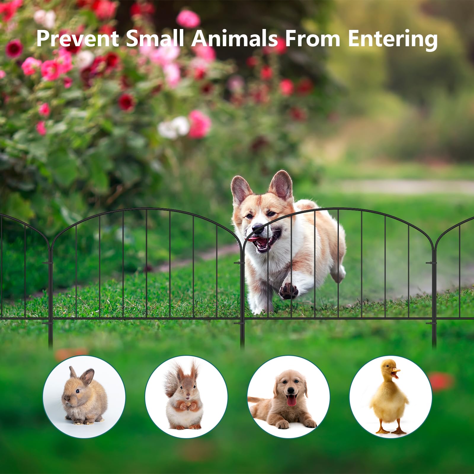 PexFix Paquete De 6 Vallas De Barrera De Animales De 25 X 14 Pulgadas,  Valla Decorativa, image size:1600x1600