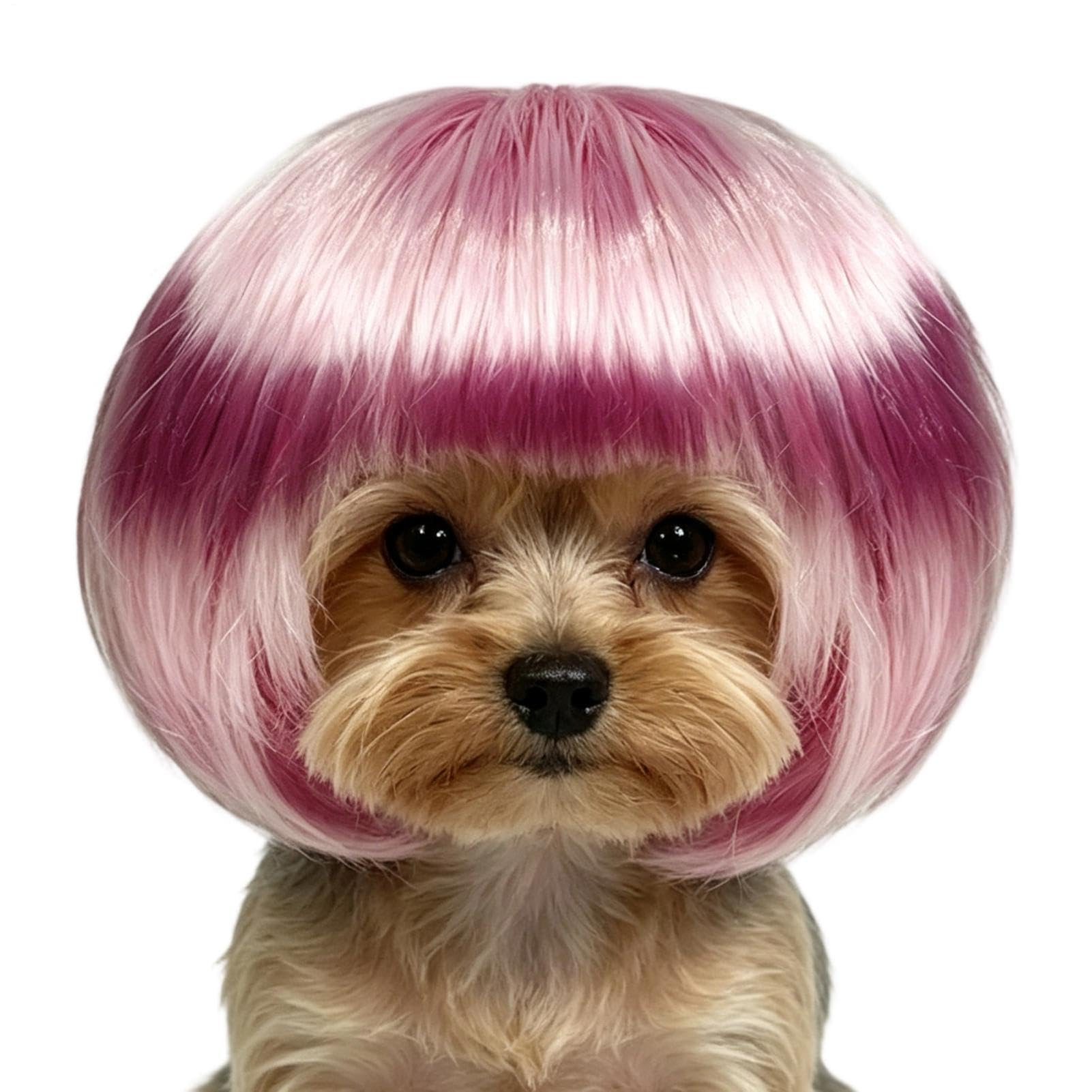 Fun Dog & Cat Wig, Pet Pink Fringe Bob Wig,Adjustable Elastic Strap