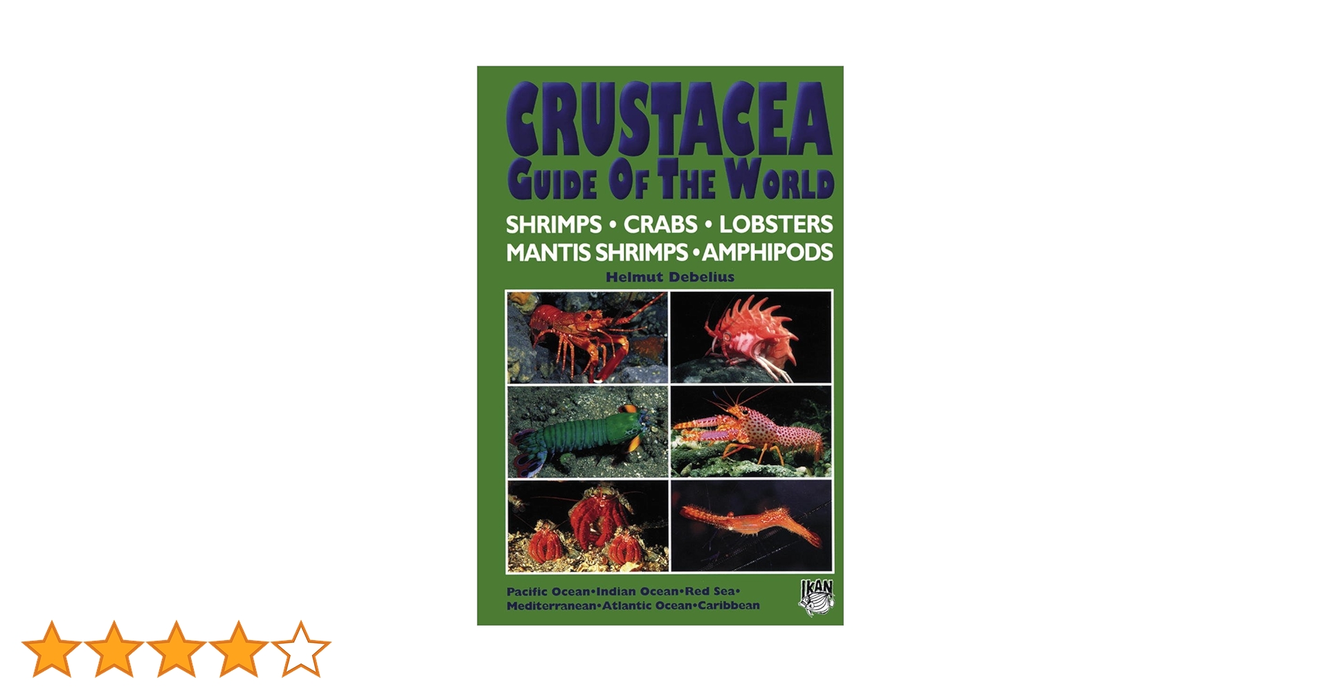 71CIbSImOPL.jpg_BO30,255,255, 71CIbSImOPL.jpg_BO30,255,255,