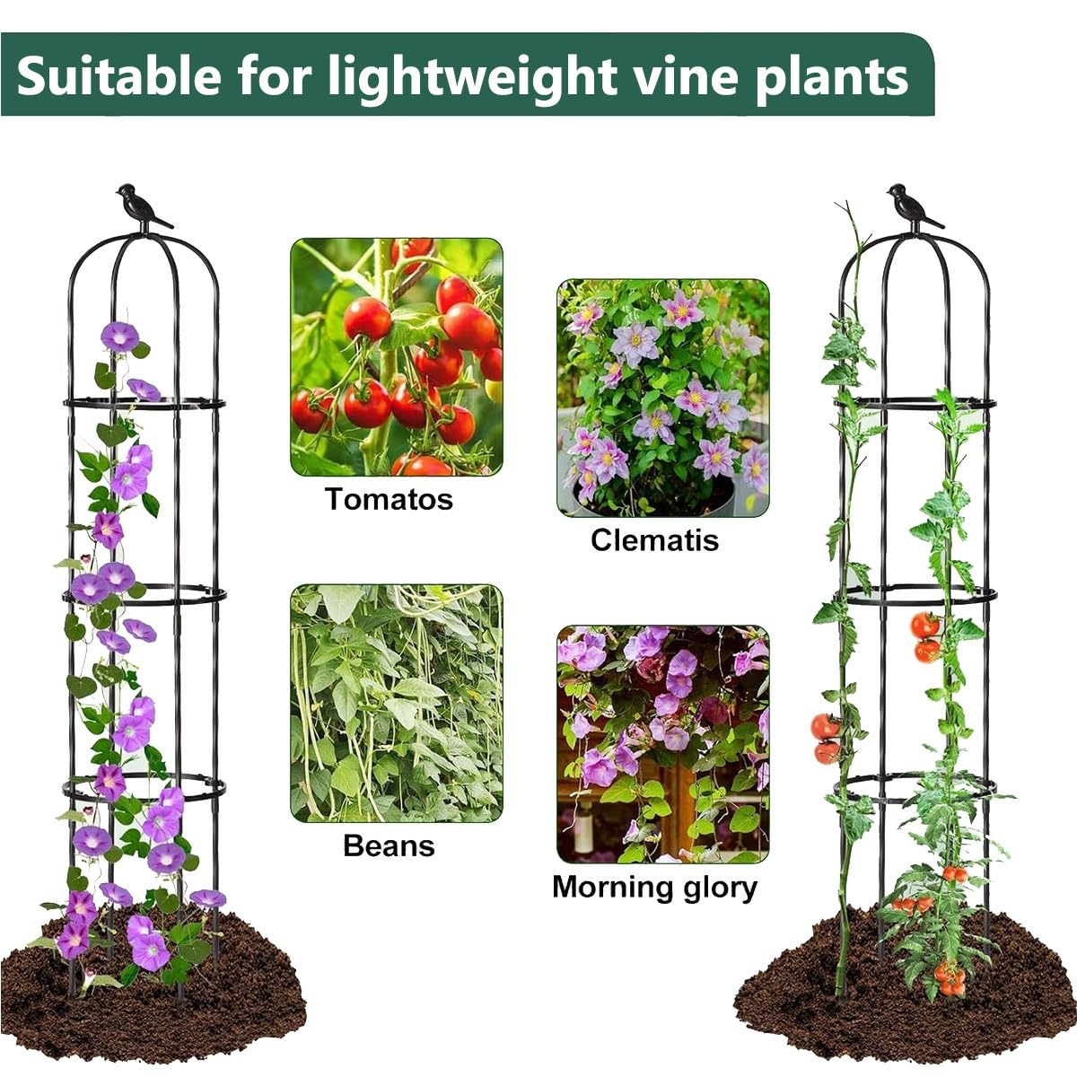 Rankhilfe für Rosen, Kletterpflanzen 65 115 165 205cm Obelisk Rankgitter Metall Rostfrei Rankturm für Topfpflanzen, Tomaten, Gurken, Clematis, Rose, Rosenbogen Witterungsbeständig(Schwarz,40x205cm)