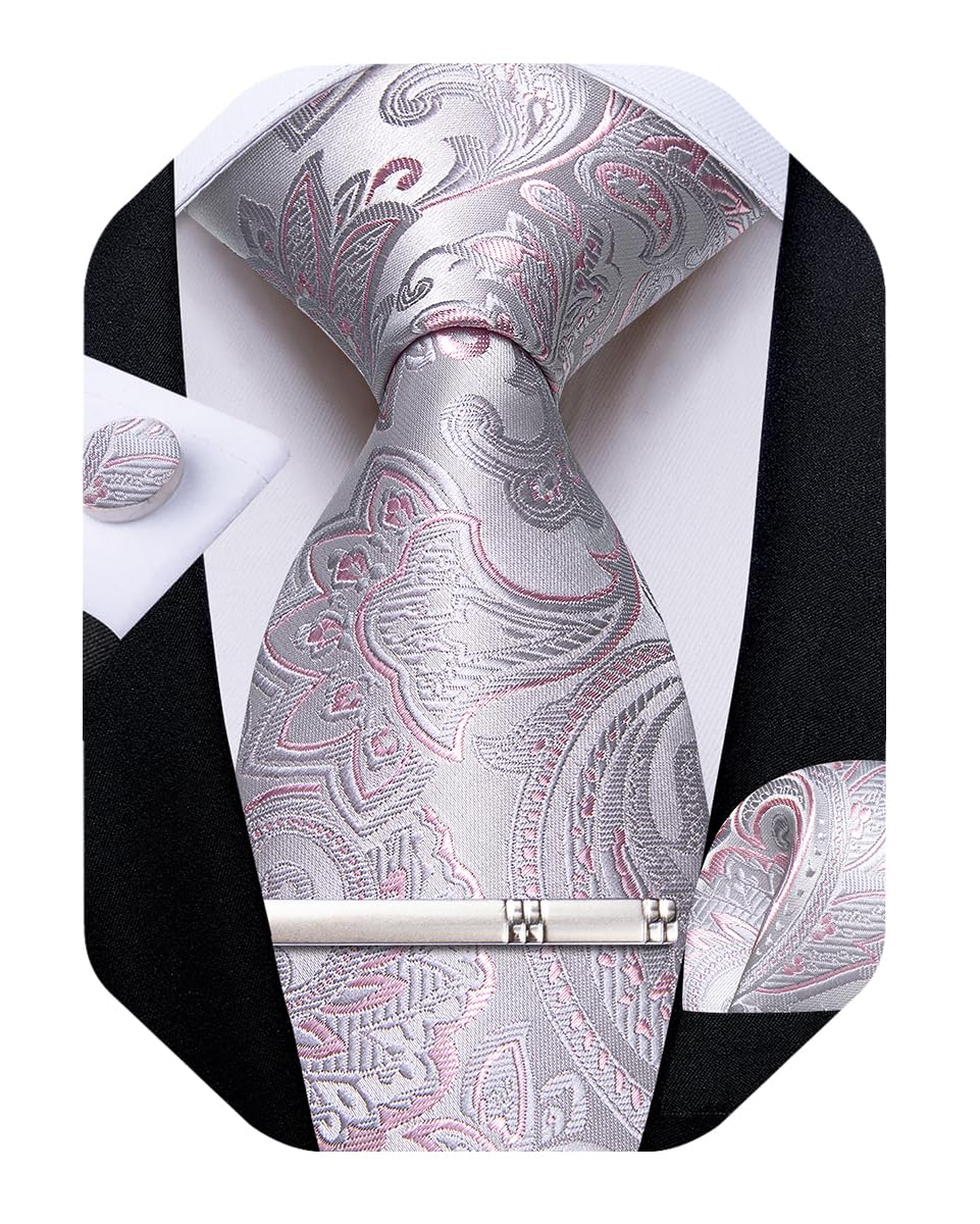 DiBanGu Silk Floral Ties for Men Woven Paisley Necktie