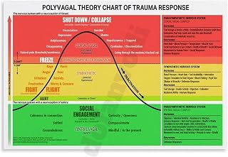 Polyvagal Theory Chart Trauma Response Poster (1) Canvas Painting Posters And Prints Wall Art for Living Room Bedroom Decor 12x08inch(30x20cm) Unframe-style