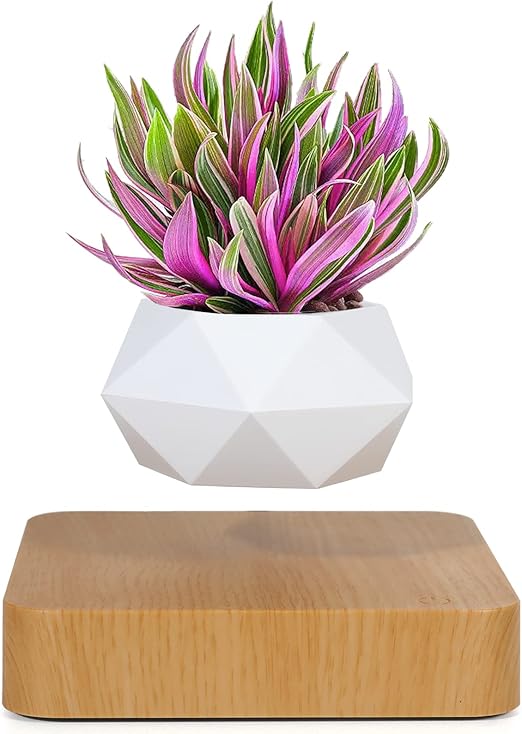 Amazon.com: Babook Levitating Air Bonsai Pot, Cool Stuff,Rotation ...