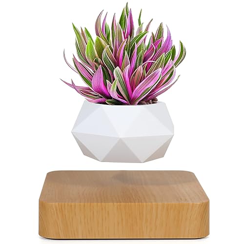 Levitating Air Bonsai Pot, Cool Stuff,Rotation Flower Pot Planters, Potted