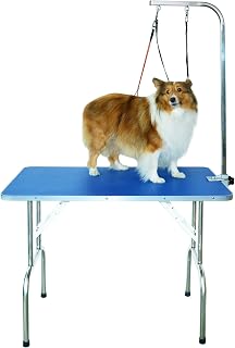 SHELANDY Professional Foldable Pet Grooming Table with Double Leashes & Clamp - 250 lbs Capacity for Medium/Large Dogs, 31.5x19.5"