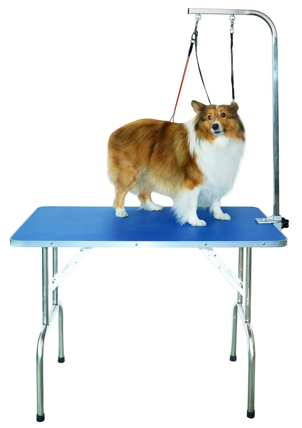 SHELANDY Professional pet Grooming Table with Double leashes and clamp for Large and Medium Dogs (Medium) - Review, Price and Buying Guide