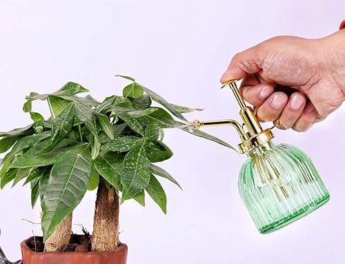 Miniatura 5 de Aebor Botella rociadora de vidrio para plantas, botella de rociador de agua de vidrio verde de 6.5 pulgadas con bomba superior dorada, regadera