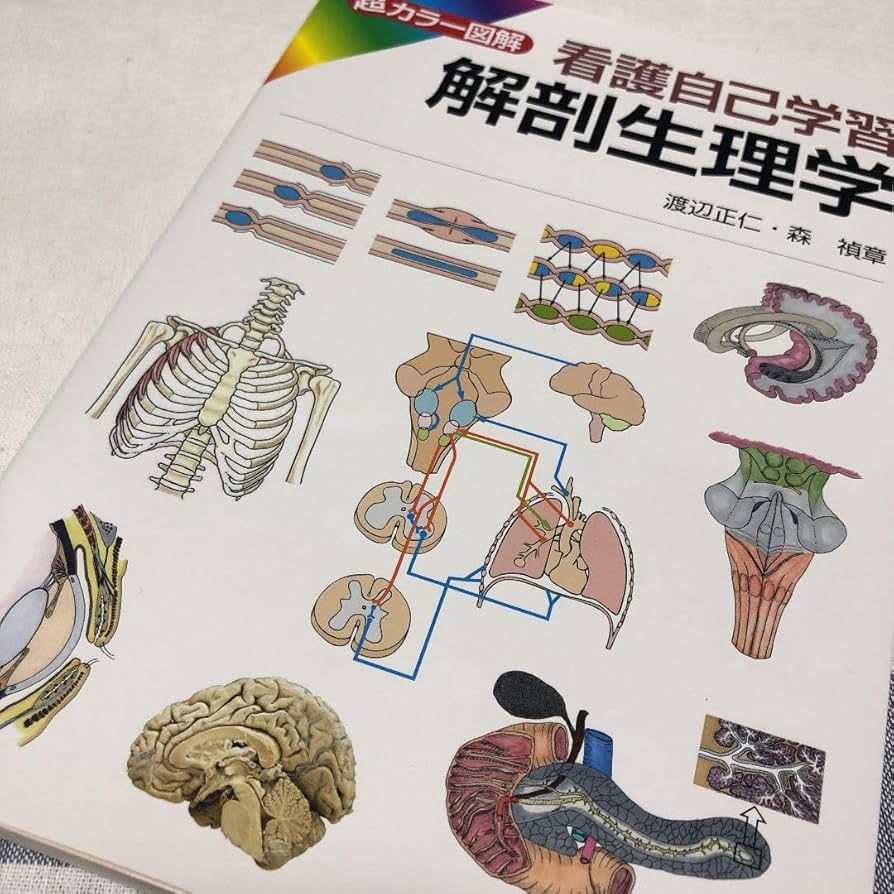 Amazon.co.jp: 超カラー図解看護自己学習解剖生理学 : おもちゃ