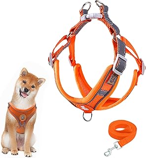 Dog Harness with Dog Lead Set, Air Mesh Breathable Chest Harness for Small, Medium Dogs and Puppies, Soft Padded, Adjustable, Reflective Harness (Orange, M) product image