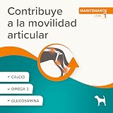 Ver la foto 3