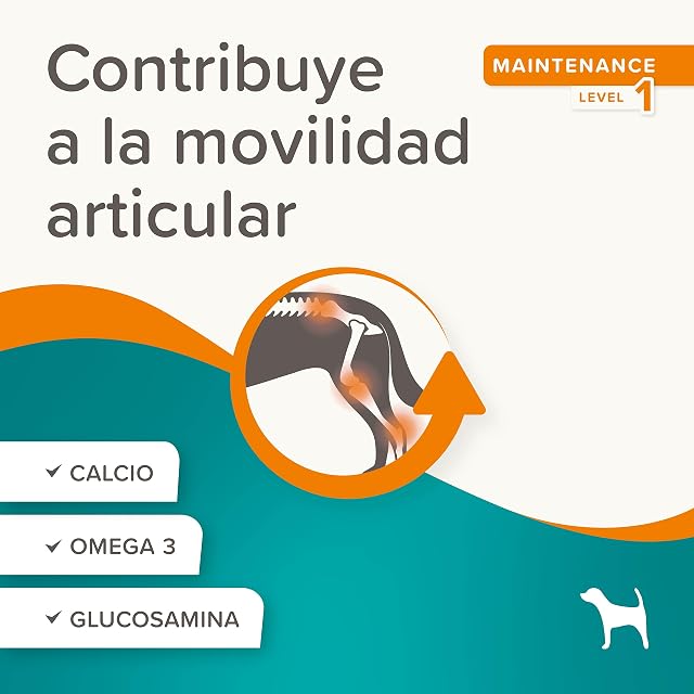 Foto 3 de 8 de Beaphar Flexifit Treats - Snack Articular para Perros Activos - Sabor a Carne - Omega 3, glucosamina y Calcio