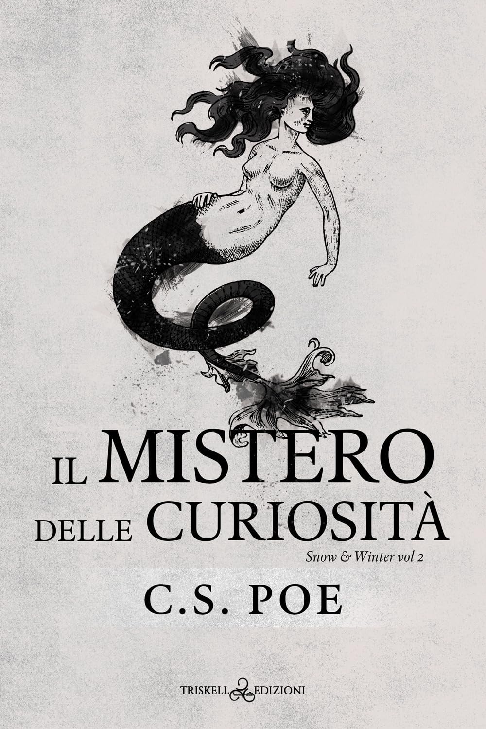 Il Mistero Delle Curiosità. Snow & Winter (Vol. 2) - 4