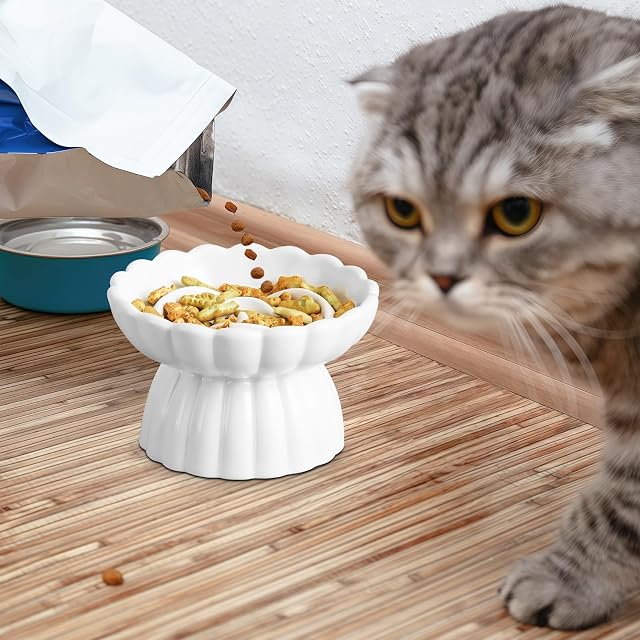 Foto 7 de 7 de Comedero antienredos para gatos y perros pequeños, de cerámica, para gatos y perros pequeños