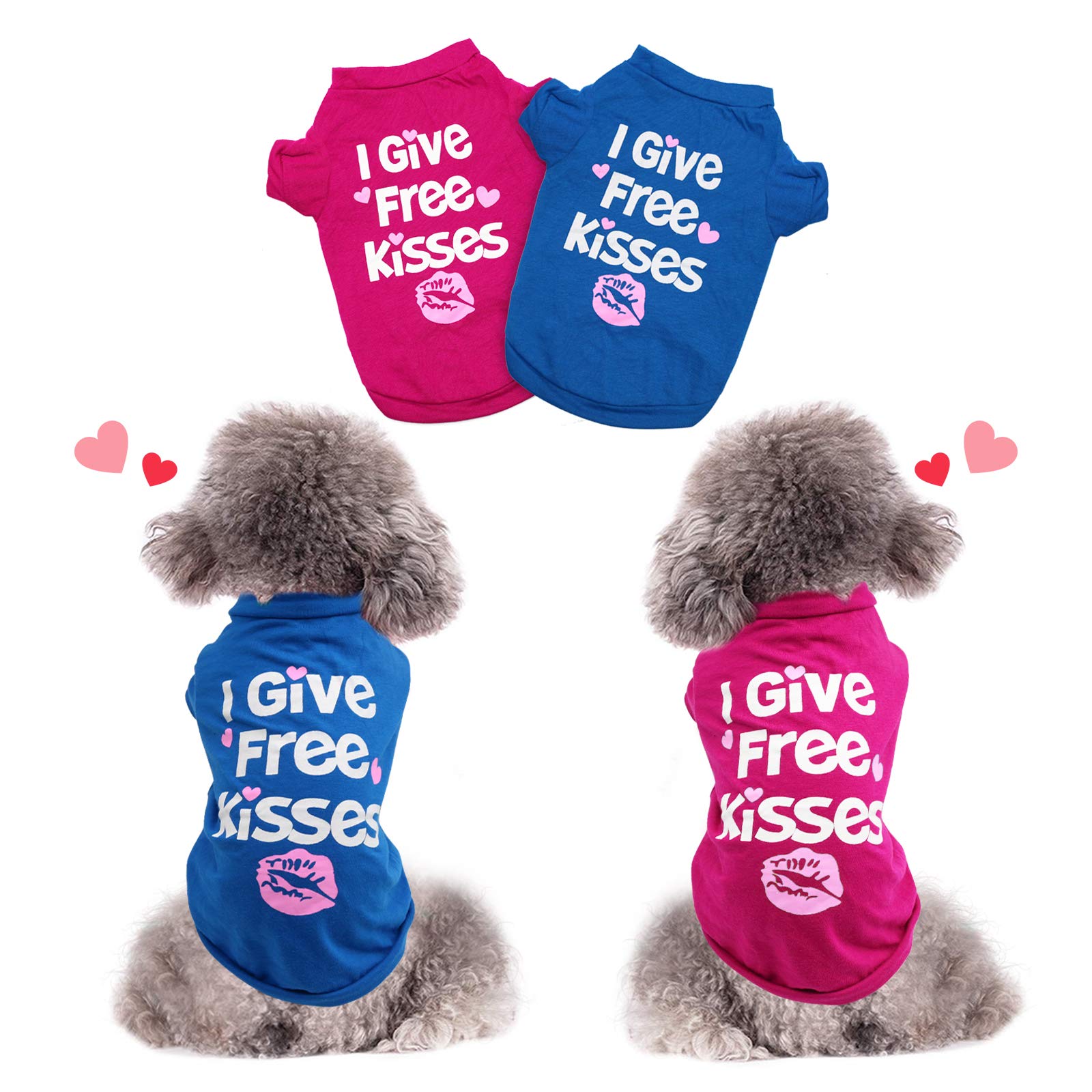 What Size Clothes Do Shih Tzu Wear