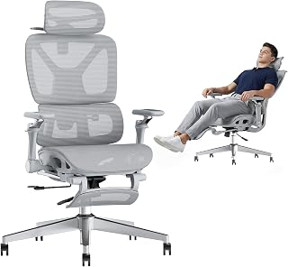 Ergonomischer Bürostuhl mit 6D Armlehnen Lordosenstütze für Homeoffice Grau