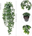 Dremisland 2Pcs Plantes de suspension artificielles-Plantes de suspendre artificielles Pot de verglas Decor-Eucalyptus Mandala Snow Pois Vine en pot Plantes pour bureau Agritourisme Maison Intérieur Extérieur Décor
